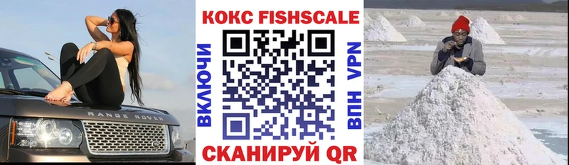 Cocaine Fish Scale  как найти   omg сайт  Железногорск 