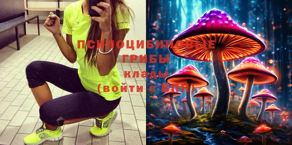 spice Вяземский