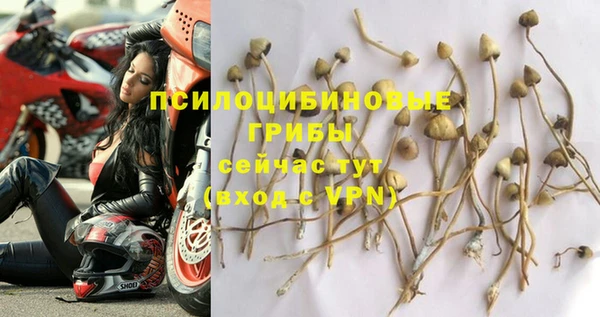 spice Вяземский