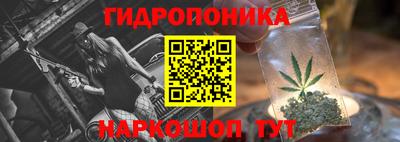 стафф Балаково