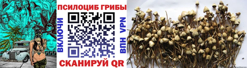 Псилоцибиновые грибы прущие грибы  Железногорск 