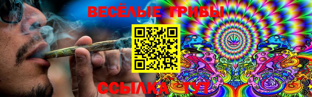 купить наркоту  Вход с VPN  Железногорск  Галлюциногенные грибы ЛСД 